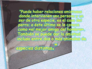 “Puede haber relaciones amistosas donde intervienen una persona y un ser de otra especie, es el caso del perro; a éste último se le conoce como «el mejor amigo del hombre». También se puede dar la amistad incluso entre dos o más animales de especies distintas.”