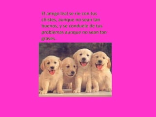 El amigo leal se ríe con tus chistes, aunque no sean tan buenos, y se conduele de tus problemas aunque no sean tan graves.