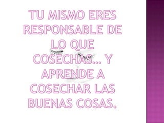 TU MISMO ERES RESPONSABLE DE LO QUE COSECHAS… Y APRENDE A COSECHAR LAS BUENAS COSAS. 