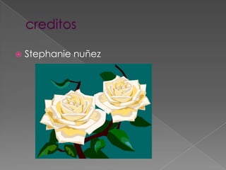    Stephanie nuñez
 