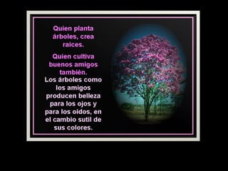 PENSAMIENTOS DE AMISTAD