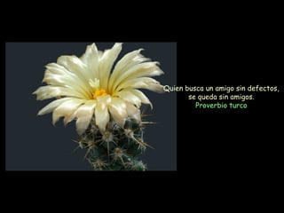 Quien busca un amigo sin defectos,
       se queda sin amigos.
         Proverbio turco
 