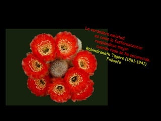 La ve
      rdad
           era a
      es co       m
            mo la istad
      resp
           lande fosfores
                  ce m     c
Rabi
       cuan
            d          ejor encia:
     ndra o todo s
          n a th       e
                 Tago ha oscu
              Filós re (186 recido.
                   ofo       1-19
                                  41)
 