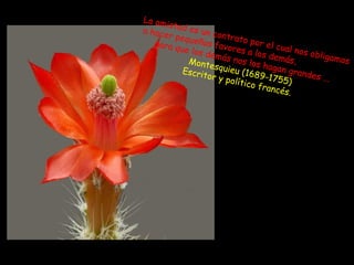 La am
      ist
a hace ad es un co
       r pequ        n
   para q     eños f trato por e
                    avore           l
          ue los
                 demás     s a los cual nos ob
                         nos lo demás,             ligamo
            Monte               s ha g a                 s
           Escrit  squieu                n gran
                 or y p     (1 689              des ...
                        olítico -1755)
                                 franc
                                        és.
 