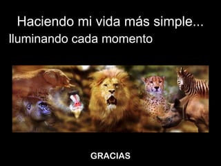 Haciendo mi vida más simple...
II   lluminando cada momento




                  GRACIAS
 