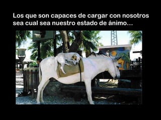 Los que son capaces de cargar con nosotros
sea cual sea nuestro estado de ánimo…
 