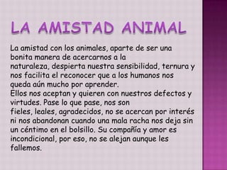 La amistad con los animales, aparte de ser una
bonita manera de acercarnos a la
naturaleza, despierta nuestra sensibilidad, ternura y
nos facilita el reconocer que a los humanos nos
queda aún mucho por aprender.
Ellos nos aceptan y quieren con nuestros defectos y
virtudes. Pase lo que pase, nos son
fieles, leales, agradecidos, no se acercan por interés
ni nos abandonan cuando una mala racha nos deja sin
un céntimo en el bolsillo. Su compañía y amor es
incondicional, por eso, no se alejan aunque les
fallemos.
 