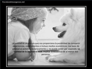 La amistad es un vínculo que nos proporciona la posibilidad de compartir
experiencias, conocimientos e incluso medios económicos. Los lazos de
amistad se potencia recíprocamente y no puede existir por separado. La
realidad de la amistad es dual. Implica la existencia de al menos dos
personas.
 