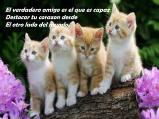 El verdadero amigo es el que es capaz
Destocar tu corazon desde
El otro lado del mundo.