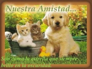 Son como la estrella que siempre
brillo en la oscuridad.