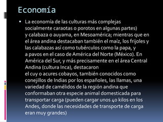 EconomíaLa economía de las culturas más complejas socialmente caraotas o porotos en algunas partes) y calabaza o auyama, en Mesoamérica; mientras que en el área andina destacaban también el maíz, los frijoles y las calabazas así como tubérculos como la papa, y a pavos en el caso de América del Norte (México). En América del Sur, y más precisamente en el área Central Andina (cultura Inca), destacaron el cuy o acures cobayos, también conocidos como conejillos de Indias por los españoles, las llamas, una variedad de camélidos de la región andina que conformaban otra especie animal domesticada para transportar carga (pueden cargar unos 40 kilos en los Andes, donde las necesidades de transporte de carga eran muy grandes)
