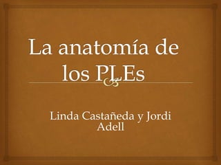 Linda Castañeda y Jordi 
Adell 
 