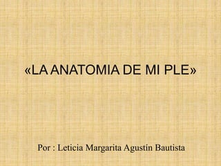 «LA ANATOMIA DE MI PLE»
Por : Leticia Margarita Agustín Bautista
 