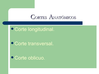 CCORTESORTES AANATÓMICOSNATÓMICOS
Corte longitudinal.
Corte transversal.
Corte oblicuo.
 