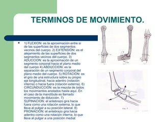 TERMINOS DE MOVIMIENTO.
 1) FLEXION: es la aproximación entre sí
de las superficies de dos segmentos
vecinos del cuerpo. 2) EXTENSIÓN: es el
alejamiento de las superficies de dos
segmentos vecinos del cuerpo. 3)
ADUCCION: es la aproximación de un
segmento corporal hacia el plano medio
del cuerpo 4) ABDUCCION: es la
separación de un segmento corporal del
plano medio del cuerpo. 5) ROTACIÓN: es
el giro de una estructura sobre su propio
eje longitudinal, hacia adentro (rotación
interna) o hacia fuera (rotación externa). 6)
CIRCUNDUCCIÓN: es la mezcla de todos
los movimientos anotados hasta aquí. En
el caso de la mandíbula es llamado
movimiento de diducción. 7)
SUPINACION: el antebrazo gira hacia
fuera como una rotación externa, lo que
lleva al pulgar a su posición lateral. 8)
PRONACION: el antebrazo gira hacia
adentro como una rotación interna, lo que
lleva al pulgar a una posición medial.
 