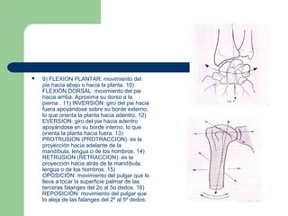  9) FLEXION PLANTAR: movimiento del
pie hacia abajo o hacia la planta. 10)
FLEXION DORSAL: movimiento del pie
hacia arriba. Aproxima su dorso a la
pierna . 11) INVERSIÓN: giro del pie hacia
fuera apoyándose sobre su borde externo,
lo que orienta la planta hacia adentro, 12)
EVERSION: giro del pie hacia adentro
apoyándose en su borde interno, lo que
orienta la planta hacia fuera. 13)
PROTRUSION (PROTRACCION): es la
proyección hacia adelante de la
mandíbula, lengua o de los hombros. 14)
RETRUSION (RETRACCION): es la
proyección hacia atrás de la mandíbula,
lengua o de los hombros. 15)
OPOSICIÓN: movimiento del pulgar que lo
lleva a tocar la superficie palmar de las
terceras falanges del 2o al 5o dedos. 16)
REPOSICIÓN: movimiento del pulgar que
lo aleja de las falanges del 2º al 5º dedos.
 