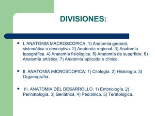 DIVISIONES:
 I. ANATOMIA MACROSCOPICA. 1) Anatomía general,
sistemática o descriptiva. 2) Anatomía regional. 3) Anatomía
topográfica. 4) Anatomía fisiológica. 5) Anatomía de superficie. 6)
Anatomía artística. 7) Anatomía aplicada o clínica.
 II. ANATOMIA MICROSCOPICA. 1) Citología. 2) Histología. 3)
Organografía.
 III. ANATOMIA DEL DESARROLLO. 1) Embriología. 2)
Perinatología. 3) Geriátrica. 4) Pediátrica. 5) Teratológica.
 