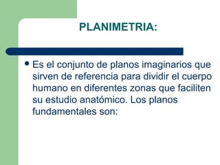 PLANIMETRIA:
Es el conjunto de planos imaginarios que
sirven de referencia para dividir el cuerpo
humano en diferentes zonas que faciliten
su estudio anatómico. Los planos
fundamentales son:
 