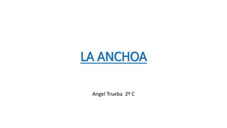 LA ANCHOA
Angel Trueba 2º C
 