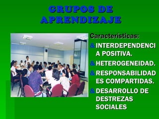 GRUPOS DE APRENDIZAJE Características: INTERDEPENDENCIA POSITIVA. HETEROGENEIDAD. RESPONSABILIDADES COMPARTIDAS. DESARROLLO DE DESTREZAS SOCIALES 