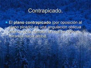 Contrapicado. El  plano contrapicado  (por oposición al plano picado) es una angulación oblicua inferior de la cámara, la cual se coloca mirando hacia arriba.  