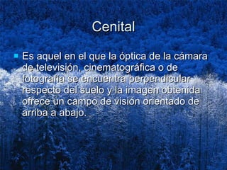 Cenital Es aquel en el que la óptica de la cámara de televisión, cinematográfica o de fotografía se encuentra perpendicular respecto del suelo y la imagen obtenida ofrece un campo de visión orientado de arriba a abajo.  