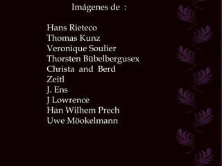 Imágenes de  : Hans Rieteco Thomas Kunz Veronique Soulier Thorsten Bübelbergusex Christa  and  Berd Zeitl J. Ens J Lowrence Han Wilhem Prech Uwe Möokelmann 