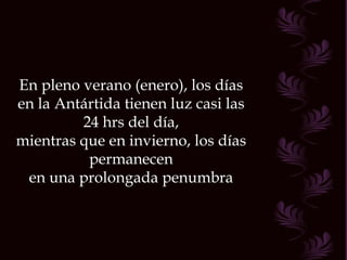 En pleno verano (enero), los días en la Antártida tienen luz casi las 24 hrs del día, mientras que en invierno, los días permanecen en una prolongada penumbra 