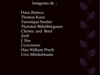 Imágenes de  : Hans Rieteco Thomas Kunz Veronique Soulier Thorsten Bübelbergusex Christa  and  Berd Zeitl J. Ens J Lowrence Han Wilhem Prech Uwe Möokelmann 