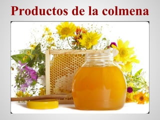 Productos de la colmena
 