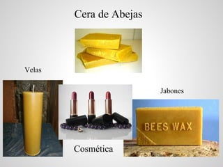 Cera de Abejas



Velas

                         Jabones




        Cosmética
 