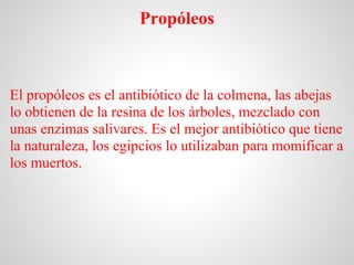 Propóleos



El propóleos es el antibiótico de la colmena, las abejas
lo obtienen de la resina de los árboles, mezclado co...