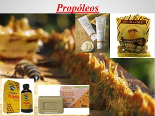 Propóleos
 