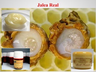 Jalea Real
 