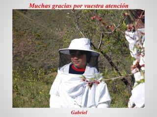 Muchas gracias por vuestra atención




              Gabriel
 