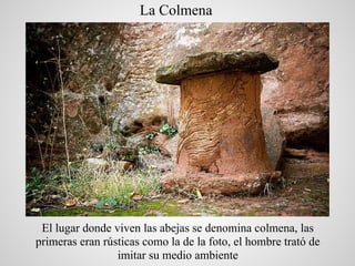 La Colmena




 El lugar donde viven las abejas se denomina colmena, las
primeras eran rústicas como la de la foto, el hom...