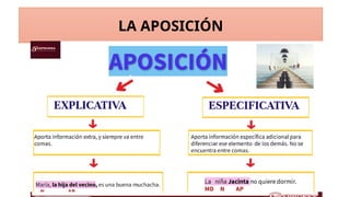 Comprendiendo la Aposición: Tipos y Ejercicios Prácticos en Español | PPTX