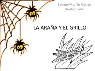 Samuel Murillo Arango 
Grado Cuarto 
LA ARAÑA Y EL GRILLO 
 