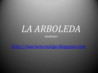 LA ARBOLEDA
-Anónimo-
http://mariamcontigo.blogspot.com
 