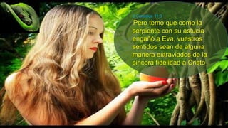 2 Corintios 11:3
Pero temo que como la
serpiente con su astucia
engañó a Eva, vuestros
sentidos sean de alguna
manera extraviados de la
sincera fidelidad a Cristo.
 