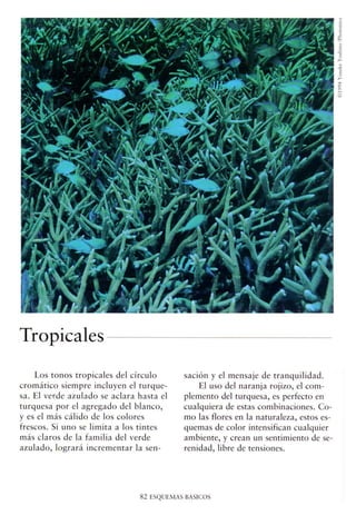 La armonia del color