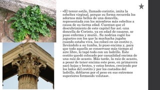 • «El tercer estilo, llamado corintio, imita la
esbeltez virginal, porque su forma recuerda los
adornos más bellos de una doncella,
representada con los miembros más esbeltos a
causa de su tierna edad. Cuentan que el
descubrimiento de este capitel fue así.-una
doncella de Corinto, ya en edad de casarse, se
puso enferma y murió.. Su nodriza cogió los
juguetes con los que la muchacha jugaba
cuando estaba viva, los colocó en un cestito y,
llevándolo a su tumba, lo puso encima y, para
que todo aquello se conservase más tiempo al
aire libre, lo tapó todo con un ladrillo. Este
cestito quedó colocado por casualidad encima de
una raíz de acanto. Más tarde, la raíz de acanto,
a pesar de tener encima este peso, en primavera
sacó hojas y brotes, y estos brotes, creciendo por
los lados del cestito y por los costados del
ladrillo, doblaron por el peso en sus extremos
superiores formando volutas».
 