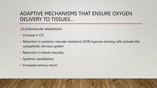 ADAPTIVE MECHANISMS THAT ENSURE OXYGEN
DELIVERY TO TISSUES…
Cardiovascular adaptations
• Increase in CO
• Reduction in systemic vascular resistance (SVR) hypoxia-sensing cells activate the
sympathetic nervous system
• Reduction in blood viscosity,
• Systemic vasodilation
• Increased venous return
 