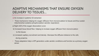 ADAPTIVE MECHANISMS THAT ENSURE OXYGEN
DELIVERY TO TISSUES…
 An increase in systemic O2 extraction
• Three mechanisms helping for oxygen diffusion from microcirculation to tissues and thus sustain
mitochondrial oxidative phosphorylation (aerobic respiration):
a) Right shift of the oxygen dissociation curve
b) Increased tissue blood flow -helping to increase oxygen diffusion from microcirculation
to the tissues
(c) increased capillary recruitment and density -Decrease the diffusion distance to the cells
during anaemia.
• These adaptation help in ATP generation under aerobic conditions and function as a primary oxygen
sensor
 