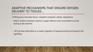ADAPTIVE MECHANISMS THAT ENSURE OXYGEN
DELIVERY TO TISSUES…
HIF(hypoxia inducible factor) mediated metabolic cellular adaptations
• Help in balance between systemic oxygen delivery and consumption,survival
during acute anaemia.
• HIF has been described as a master regulator of hypoxia sensing and hypoxic cell
signalling
 