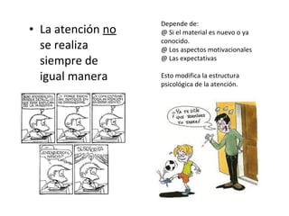Depende de:
• La atención no   @ Si el material es nuevo o ya
                   conocido.
  se realiza       @ Los aspectos motivacionales
  siempre de       @ Las expectativas

  igual manera     Esto modifica la estructura
                   psicológica de la atención.
 