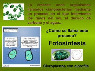 ¿Cómo se llama este proceso? Fotosíntesis Lo crearon unos organismos llamados cianobacterias mediante un proceso en el que intervienen los rayos del sol, el dióxido de carbono y el agua… Cloroplastos con clorofila 