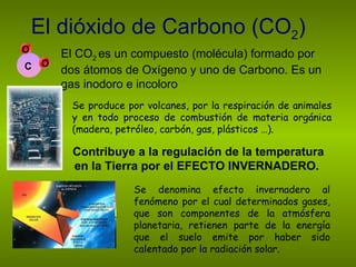 El dióxido de Carbono (CO 2 ) El CO 2  es un compuesto (molécula) formado por dos átomos de Oxígeno y uno de Carbono. Es un gas inodoro e incoloro Se produce por volcanes, por la respiración de animales y en todo proceso de combustión de materia orgánica (madera, petróleo, carbón, gas, plásticos …).  Contribuye a la regulación de la temperatura en la Tierra por el EFECTO INVERNADERO.  C O O Se denomina efecto invernadero al fenómeno por el cual determinados gases, que son componentes de la atmósfera planetaria, retienen parte de la energía que el suelo emite por haber sido calentado por la radiación solar. 