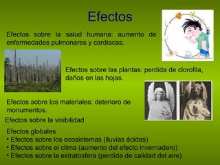 Efectos Efectos sobre la visibilidad Efectos globales Efectos sobre los ecosistemas (lluvias ácidas) Efectos sobre el clima (aumento del efecto invernadero) Efectos sobre la estratosfera (perdida de calidad del aire)  Efectos sobre la salud humana: aumento de enfermedades pulmonares y cardiacas. Efectos sobre las plantas: perdida de clorofila, daños en las hojas. Efectos sobre los materiales: deterioro de monumentos. 