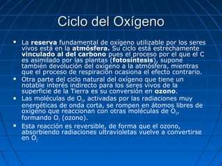 Ciclo del Oxígeno
   La reserva fundamental de oxígeno utilizable por los seres
    vivos está en la atmósfera. Su ciclo está estrechamente
    vinculado al del carbono pues el proceso por el que el C
    es asimilado por las plantas (fotosíntesis), supone
    también devolución del oxígeno a la atmósfera, mientras
    que el proceso de respiración ocasiona el efecto contrario.
   Otra parte del ciclo natural del oxígeno que tiene un
    notable interés indirecto para los seres vivos de la
    superficie de la Tierra es su conversión en ozono.
   Las moléculas de O2, activadas por las radiaciones muy
    energéticas de onda corta, se rompen en átomos libres de
    oxígeno que reaccionan con otras moléculas de O2,
    formando O3 (ozono).
   Esta reacción es reversible, de forma que el ozono,
    absorbiendo radiaciones ultravioletas vuelve a convertirse
    en O2
 